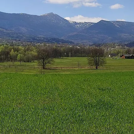 Na Karpackiej Kostrzyca