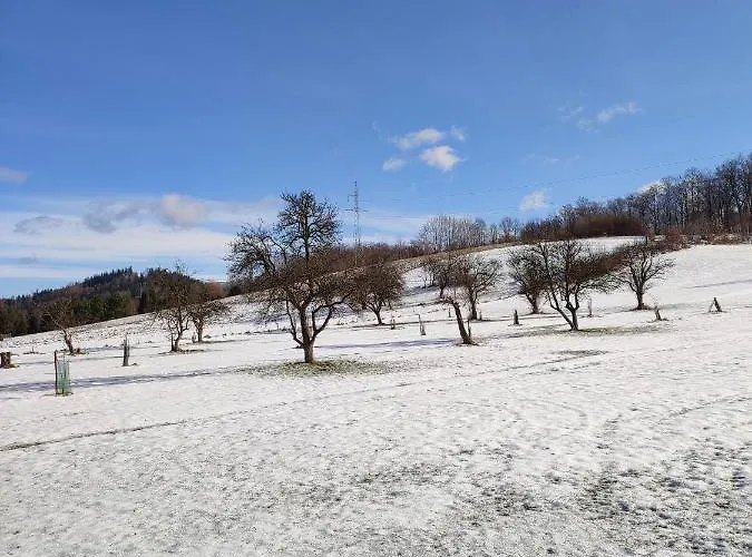 Na Karpackiej Apartment Kostrzyca