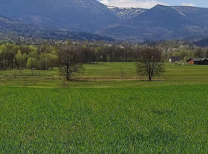 Na Karpackiej Kostrzyca